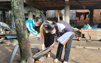 Người dân cần nâng cao ý thức phòng chống sốt xuất huyết
