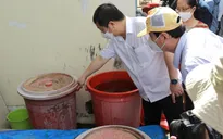 TP Hồ Chí Minh: Sẽ xử lý mạnh vi phạm phòng dịch sốt xuất huyết