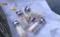 Cảnh báo tình trạng giả vaccine dịch tả lợn châu Phi