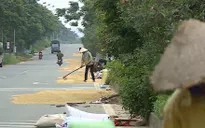 Ẩn họa từ việc lấn chiếm đường thành sân phơi rơm rạ, thóc lúa