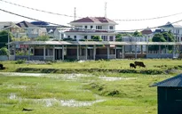 Thanh Hoá thu hồi dự án chậm tiến độ kéo dài