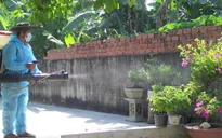 Nam Định thực hiện đồng bộ các biện pháp ngăn chặn sốt xuất huyết lây lan