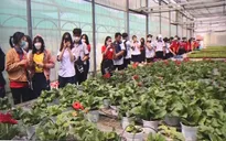 Những "chuyến xe tri thức" giúp hướng nghiệp sớm cho học sinh