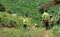 Lâm Đồng bảo vệ rừng bằng flycam