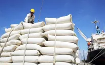 Thách thức xuất khẩu gạo 6 tháng cuối năm