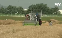 Hàn Quốc mở rộng tiếp nhận lao động nước ngoài