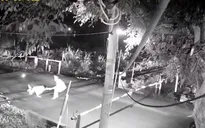 Thót tim cảnh nhân viên gác chắn lao vào đường ray tàu hỏa cứu người
