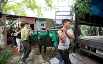 Cứu hộ thành công 7 cá thể gấu ngựa tại một trang trại ở Hà Nội
