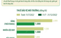 [INFOGRAPHIC] Từ 11/7 đến 31/12/2022: Giảm thuế bảo vệ môi trường đối với xăng, dầu, mỡ nhờn