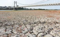 Tình trạng hạn hán ở Nam Âu “có thể trở nên tồi tệ nhất từ trước đến nay”