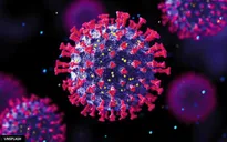 Ứng dụng trí tuệ nhân tạo phát hiện sớm các biến thể virus gây bệnh COVID-19