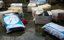Phát hiện xe khách vận chuyển lô sản phẩm động vật bốc mùi hôi thối