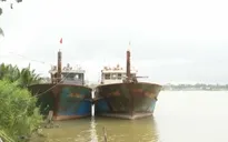 Chủ tàu cá vỏ thép 67 không thể trả nợ vay ngân hàng