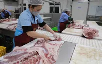 Đảm bảo an ninh lương thực, hướng đến xuất khẩu