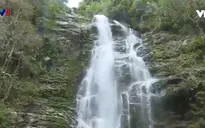 Du lịch sinh thái gắn với bảo tồn thiên nhiên