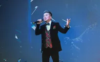 Diva Hồng Nhung nhận cát xê 0 đồng trong live concert của Đàm Vĩnh Hưng
