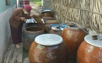 TP. Hồ Chí Minh ghi nhận hơn 39.400 ca mắc sốt xuất huyết