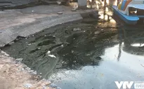 Xuống cấp trầm trọng, nhiều công viên giữa Thủ đô ‘kêu cứu’