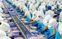Doanh nghiệp thủy sản ứng phó với biến động tỷ giá