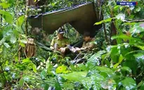 Hai thương binh bất chấp hiểm nguy để xả thân giữ rừng