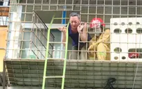 Hà Nội vận động mở "lối thoát nạn thứ 2" để phòng hỏa hoạn