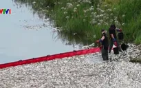 Hàng tấn cá chết trên sông, Đức và Ba Lan cảnh báo thảm họa sinh thái
