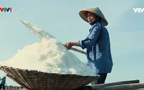 Phim tài liệu Đời muối: Cuộc sống lay lắt của những diêm dân yêu nghề