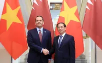 Việt Nam - Qatar tăng cường thương mại, đầu tư