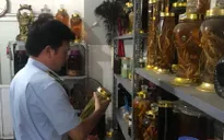 Hà Nội: Thu giữ gần 650 lít rượu không rõ nguồn gốc xuất xứ