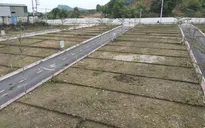 Hà Nội đề xuất quy định mới về tách thửa