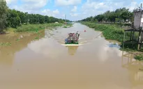 Nước lũ bắt đầu đổ về Đồng Tháp Mười