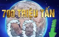 Thế giới có thể giảm 700 triệu tấn khí thải nhờ đi xe đạp