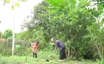 Cặp lá yêu thương: Vì con thương bà