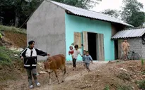 Bộ Xây dựng sẽ hỗ trợ nhà ở cho khoảng 100.000 hộ nghèo
