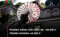 Trung Quốc: Trùng Khánh trở thành "phòng xông hơi" vì nắng nóng
