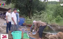 Đồng Nai thực hiện chiến dịch Ngày thứ 7 phòng chống sốt xuất huyết