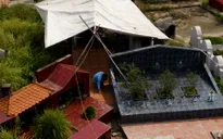 Bảo kê vật liệu xây dựng: Sống không thương, chết không tha