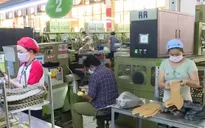 Thị trường lao động, việc làm phục hồi
