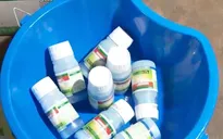 Gia tăng tình trạng sản xuất, buôn bán phân bón giả