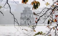 Hà Nội lọt top những điểm đến hấp dẫn nhất thế giới vào mùa thu