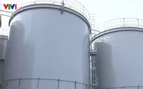 Tái khởi động nhà máy điện hạt nhân Nhật Bản