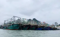 Quảng Ninh: Chủ động các biện pháp phòng, chống cơn bão số 3