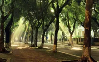 Trung Bộ mưa dông, Bắc Bộ ngày nắng hanh