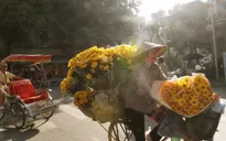 Miền Bắc trời nắng trước đợt rét đậm, rét hại