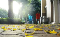 Bắc Bộ và Bắc Trung Bộ ngày nắng hanh, đêm rét, có nơi dưới 11 độ C