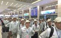 Cảnh báo lừa đảo xuất khẩu lao động sang Hàn Quốc