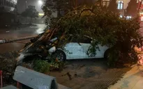 Bão số 3 gây mưa lớn, nhiều tuyến phố tại Quảng Ninh, Hải Phòng bị ngập úng