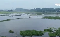 Thi công trạm bơm khiến ruộng ngập úng không thể canh tác