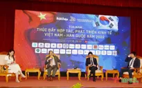 Thúc đẩy hợp tác kinh tế Việt Nam - Hàn Quốc năm 2022