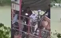 Đồng Nai: Xác minh làm rõ clip bé trai 12 tuổi lái phà chở khách qua sông